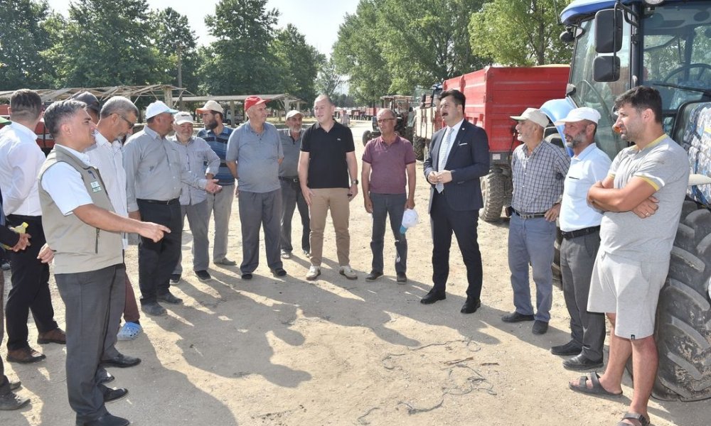 Yenişehir’de Toprak Mahsulleri Ofisi (TMO) hububat alımına başladı.