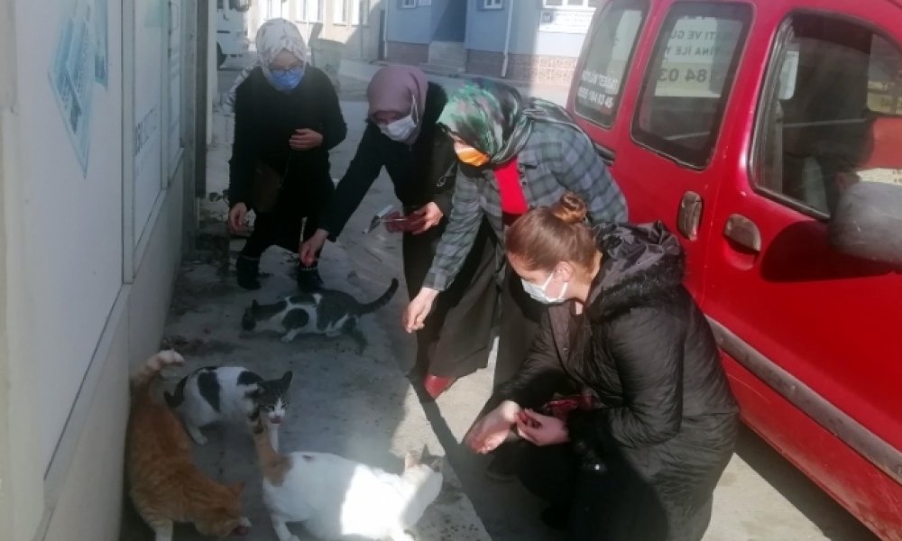 AK Parti Yenişehir İlçe Kadın Kollarından Örnek davranış
